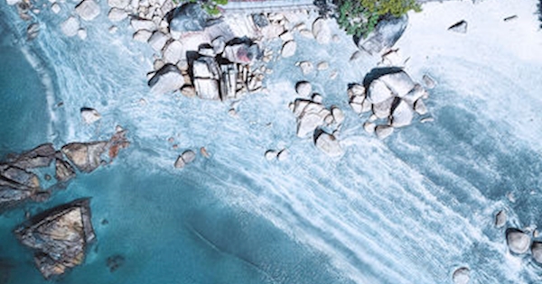 Bass Hold On bass hold on