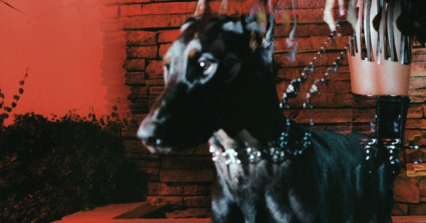 Leon Thomas - MUTT