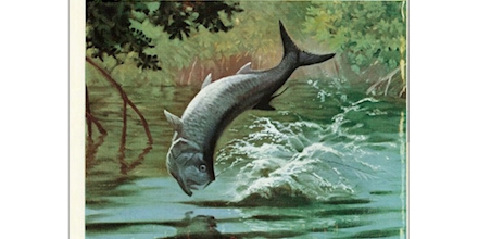 artwork-440x220.jpg