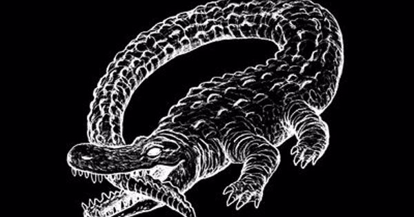 Catfish And The Bottlemen – The Ride Catfish and the Bottlemen - The Ride