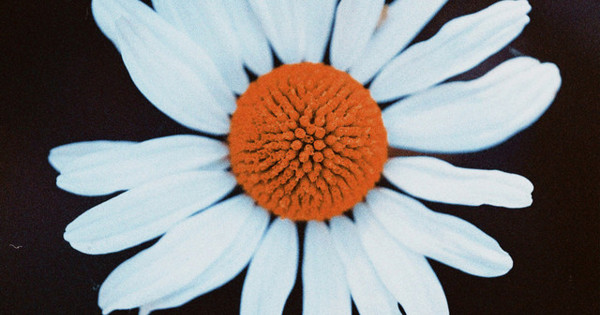 Big Spring Raining In July