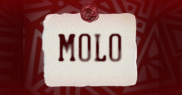 JL SA, Msongi, COON SA - MOLO