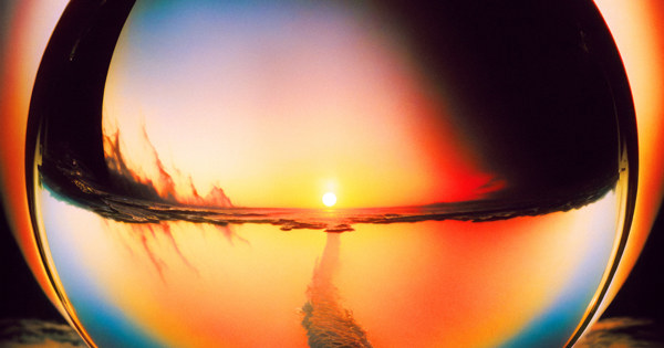 Cage The Elephant Metaverse