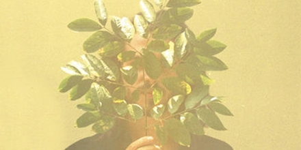 FKJ - French Kiwi Juice