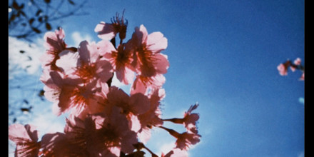 artwork-440x220.jpg