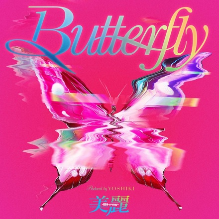 洋楽 butterfly the music of butterfly BUTTERFLY (VINCENT GALLO & HARPER SIMON) 'THE MUSIC OF