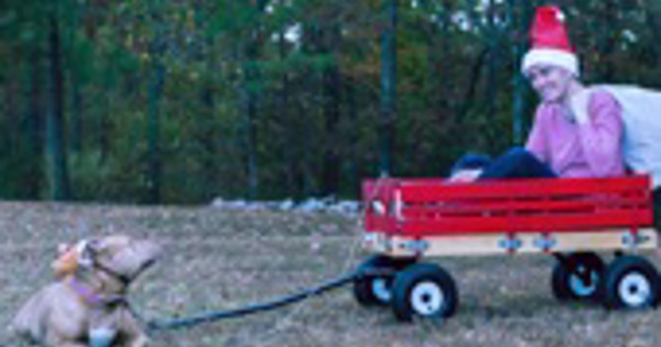 Solo holidays christmas 2025