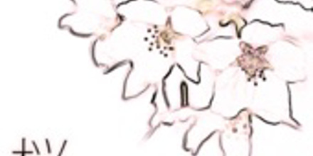 河口恭吾「桜 '09ヴァージョン」