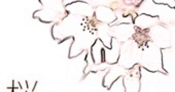 河口恭吾「桜 '09ヴァージョン」