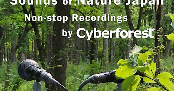 Sounds of Nature Japan -Non-stop Recordings by Cyberforest-