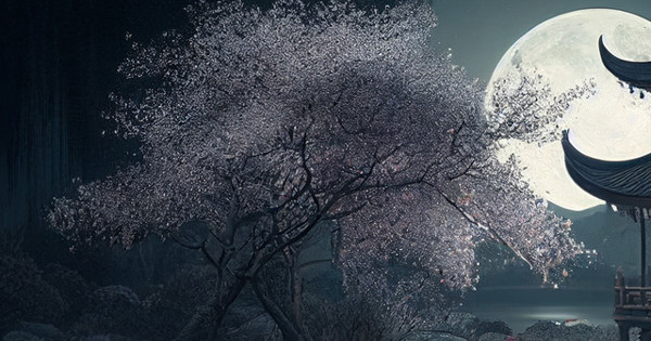 Lost Coconut Journey