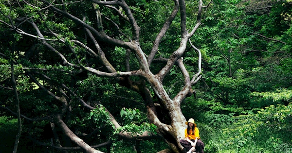 Friday Night Plans 1st EP『LOCATION-Los Angeles』LP