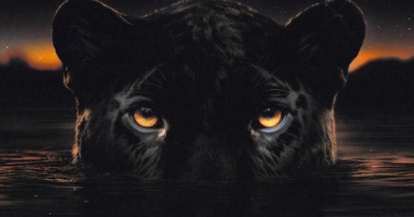 artwork-600x315.jpg