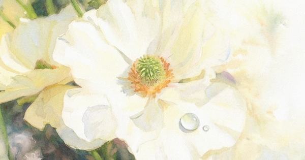 雑誌 anemone 復刻版 ソマチッド