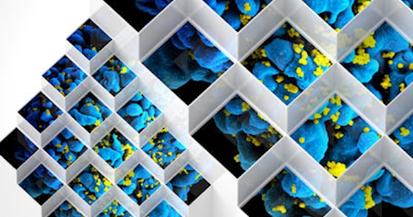 Bluetech - Liquid Geometries in Dub