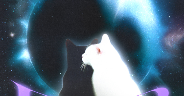 spaceshowerfuga.lnk.to