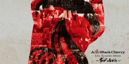 Acid Black Cherry