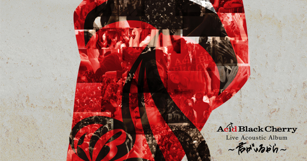 Acid Black Cherry/Acid Black Cherry TOU… ACID BLACK CHERRY - Amazon.com Music