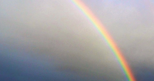 The Mild Antics - For the Rainbow