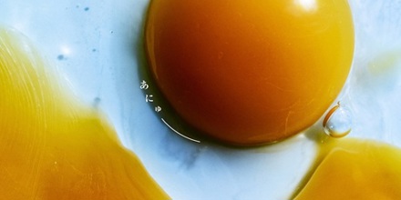 RADWIMPS New Album「あにゅー」