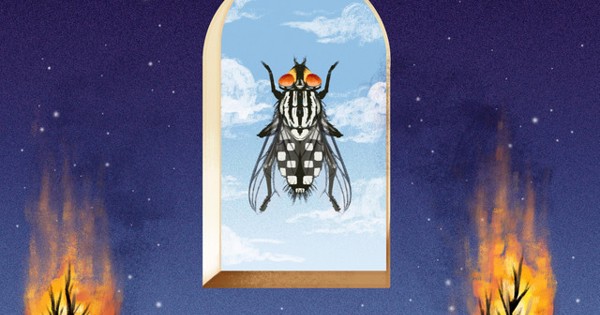 Abby Nissenbaum - Checkerboard Flies