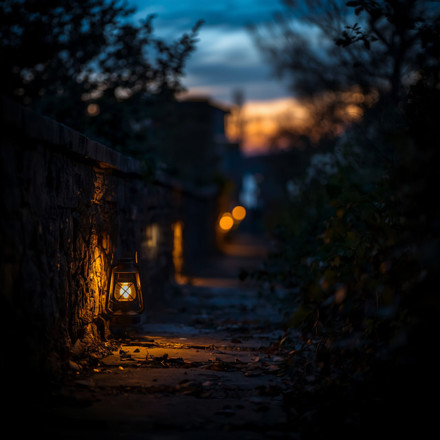 Light Before My Steps