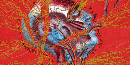 artwork-440x220.jpg