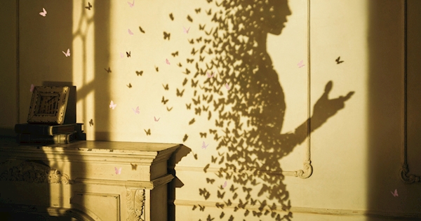 I beg you/花びらたちのマーチ/Sailing初回生産限定盤 Aimer I beg you/花びらたちのマーチ/Sailing(初回生産限定盤) | Aimer