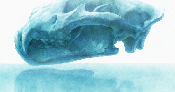 YOASOBI - 優しい彗星