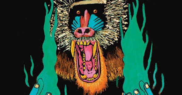 Hiatus Kaiyote - Choose Your Weapon