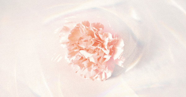 artwork-600x315.jpg