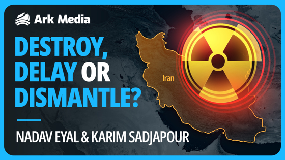 DESTROY, DELAY OR DISMANTLE?