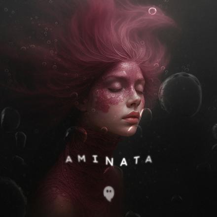 AVA CROWN - AMINATA Cover