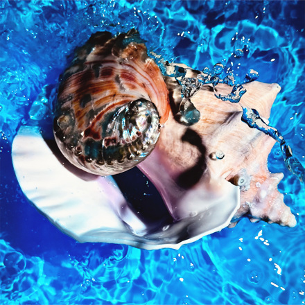 artwork-440x440.jpg