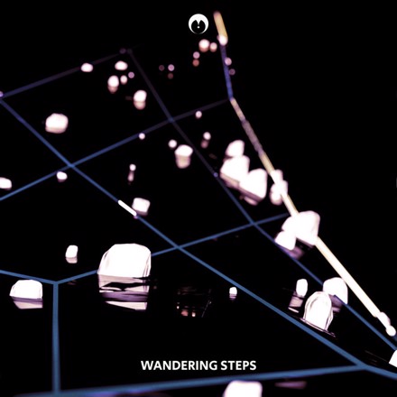 Toavn - Wandering Steps