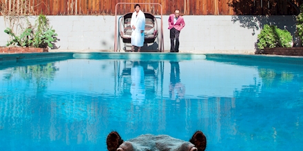 Sparks - Hippopotamus