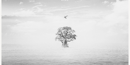 artwork-440x220.jpg