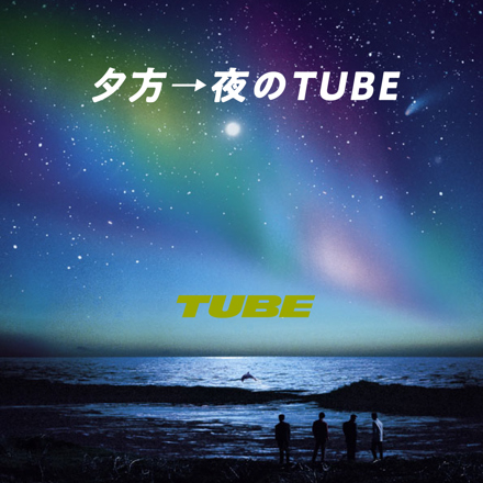 TUBE 25th Summer-Blu-ray BOX-(Blu-ray Disc) TUBE 25th Summer -Blu