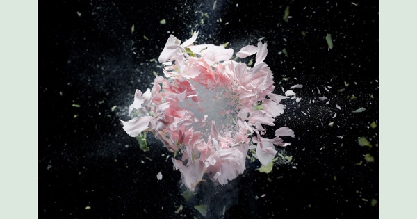 Zedd, Maren Morris, Grey - The Middle - Single