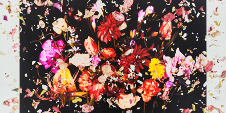 Omoinotake 廃盤「Room102」未開封 Omoinotake 廃盤EP Omoinotake Omoinotake 廃盤「Room102」未開封