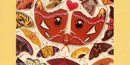 Talk Talk - The Colour of Spring